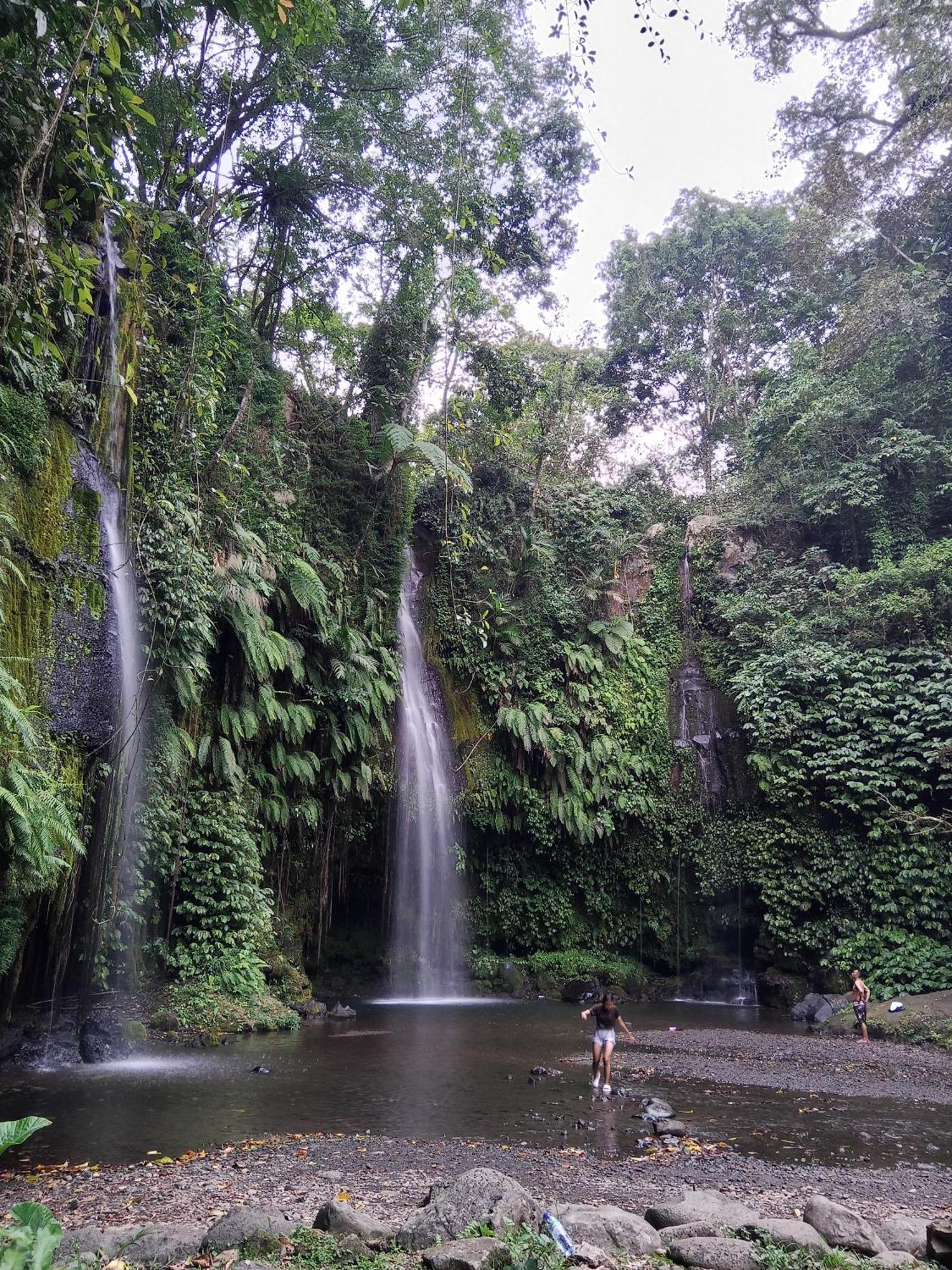 Linkgreen Homestay Lombok Tetebatu Room photo